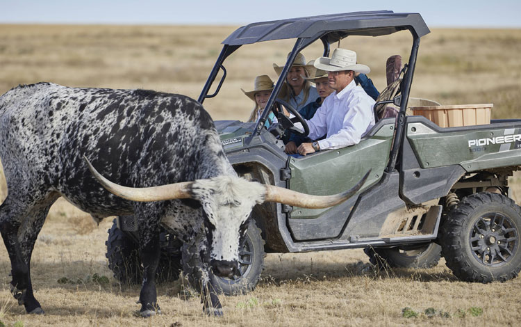 Shali riding a four by four with her husband and two kids, as they drive by a longhorn cow.